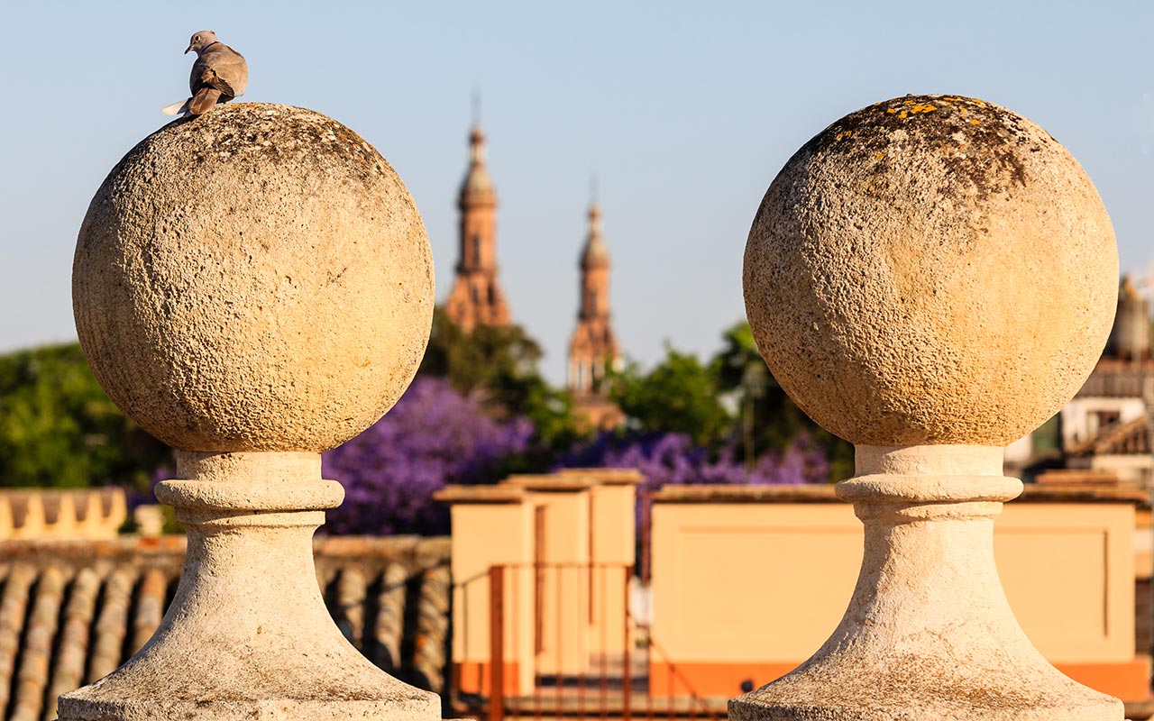 Vista de las torres de la Plaza de España desde el Archivo General de Indias