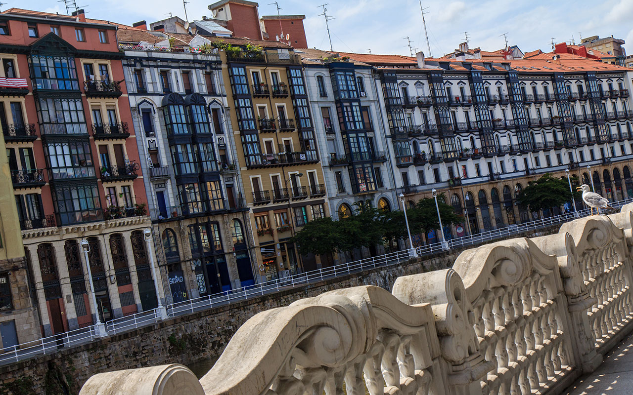 Gaviota con paisaje urbano de Bilbao