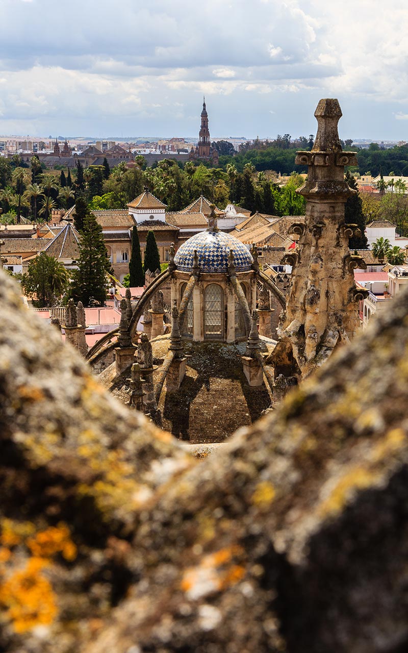 Sevilla desde las cubiertas de la Catedral
